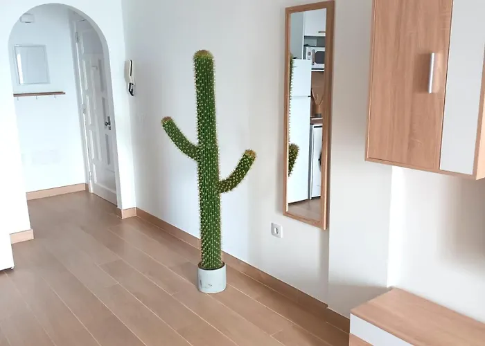 Apartamento Modern Open-plan With Terrace And Sea View